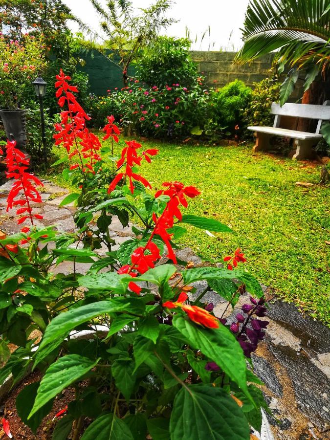 Barefoot Inn Kandy Bagian luar foto